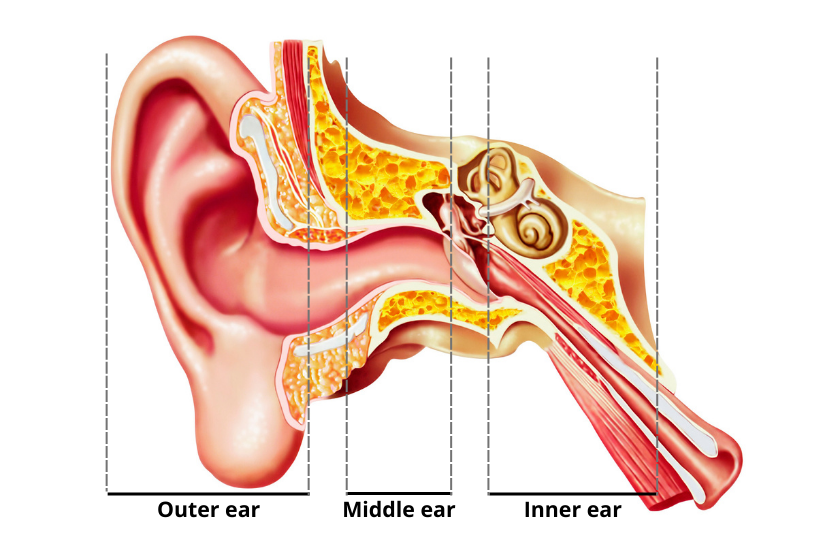 Alternative Treatments of Tinnitus - Otolaryngologic Clinics of North  America
