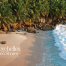 Aerial view of a secluded Seychelles beach lined with lush palm trees, golden sand and turquoise waves gently washing onto the shore.