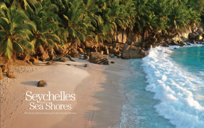 Aerial view of a secluded Seychelles beach lined with lush palm trees, golden sand and turquoise waves gently washing onto the shore.