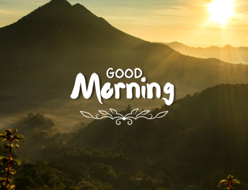 Slow Morning Routine: 5 Mindful Rituals for a Calm, Focused Start