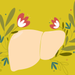 Illustration of a healthy liver surrounded by leaves and flowers, symbolising liver health and balance.