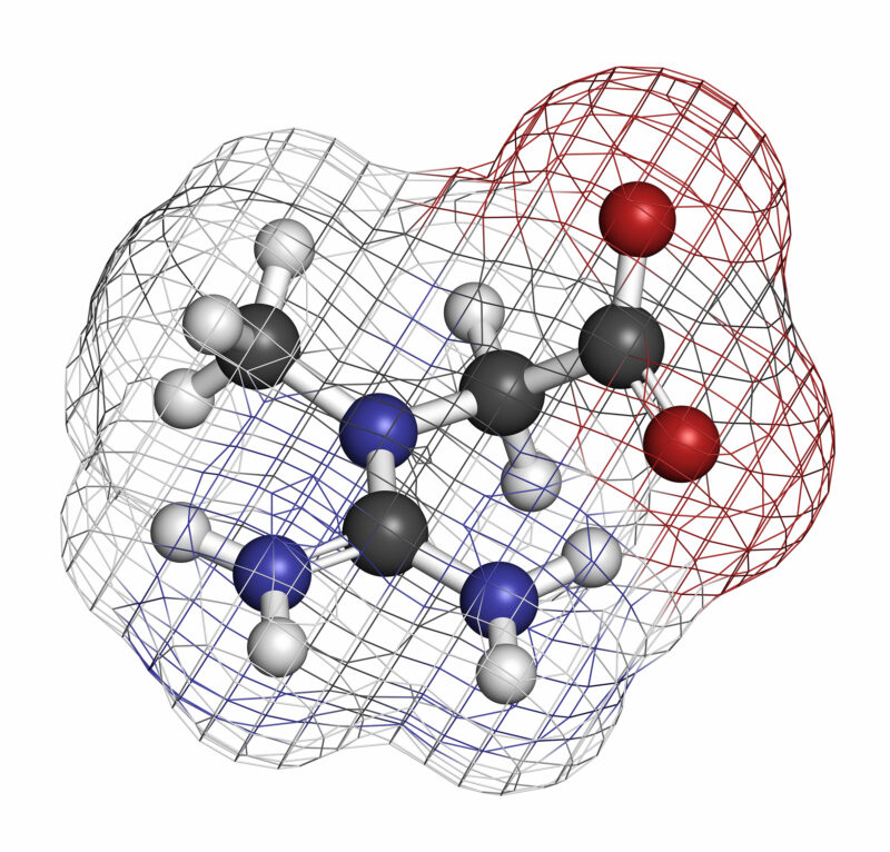 3D molecular structure of creatine, a compound made of amino acids that supports energy production and muscle performance.