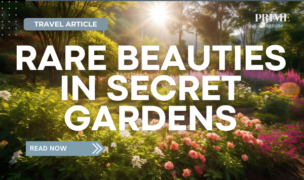 Flower garden in the morning at Doi Inthanon National Park, Chiang Mai, Thailand