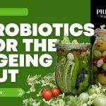 probiotics for the ageing gut with jars of fermented vegetables promoting gut health