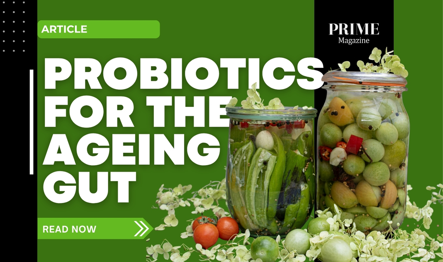 probiotics for the ageing gut with jars of fermented vegetables promoting gut health