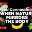 A digital banner for Prime Magazine featuring various foods—such as avocado, banana, sweet potatoes, mushrooms, celery, and beans—surrounding the headline “Food Connections: When Nature Mirrors the Body” on a black background.