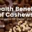 Close-up of raw cashew nuts in a bowl — illustrating the health benefits of cashews for strength, vitality, and sustained energy.