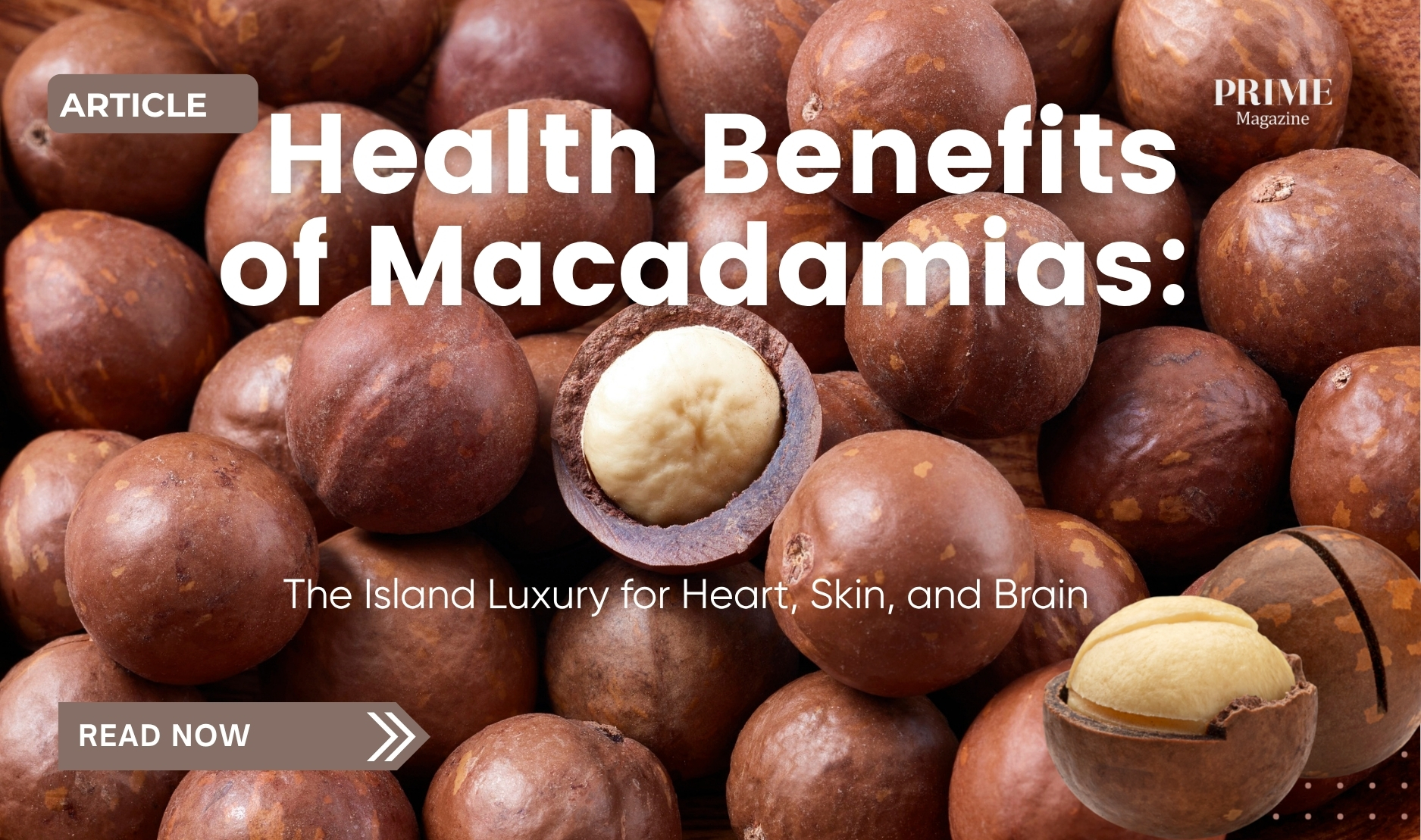 Close-up of macadamia nuts, with one cracked open to reveal the creamy kernel inside, overlaid with the text “Health Benefits of Macadamias: The Island Luxury for Heart, Skin, and Brain.”