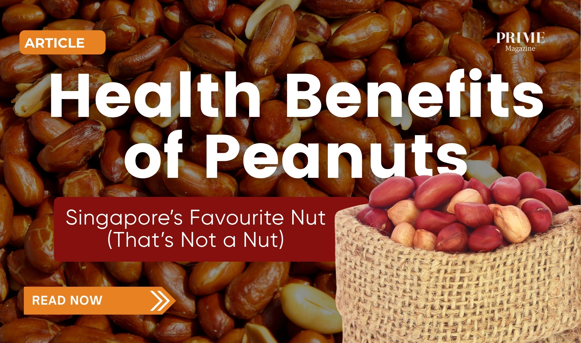 Close-up of roasted peanuts with a small jute sack filled with red peanuts, overlaid with text reading “Health Benefits of Peanuts – Singapore’s Favourite Nut (That’s Not a Nut).”