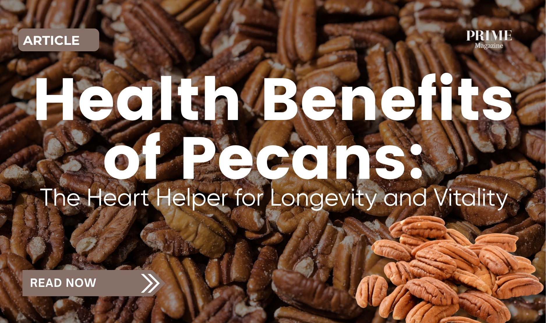 Close-up of pecan nuts with text overlay reading “Health Benefits of Pecans: The Heart Helper for Longevity and Vitality.”