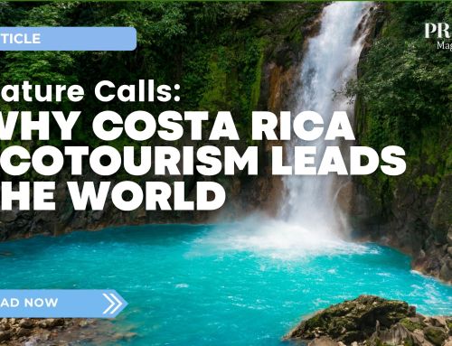 Nature Calls: Why Costa Rica Ecotourism Leads the World