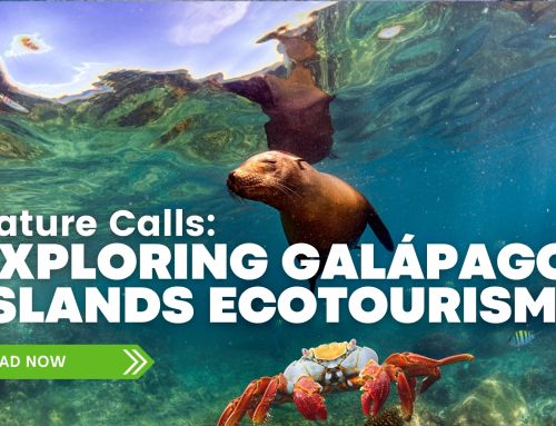 Nature Calls: Exploring Galápagos Islands Ecotourism