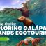 Underwater view of a Galápagos sea lion swimming near the surface with a Sally Lightfoot crab below, promoting an article on Galápagos Islands ecotourism.