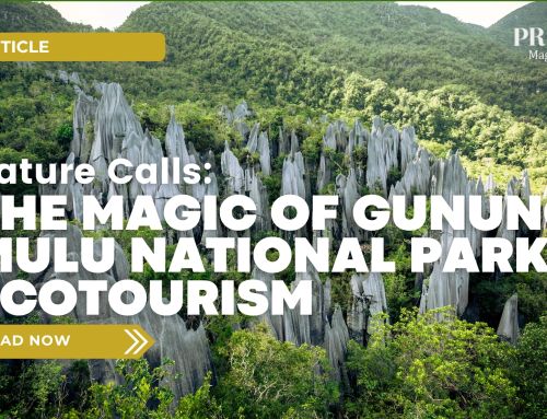 Nature Calls: The Magic of Gunung Mulu National Park Ecotourism