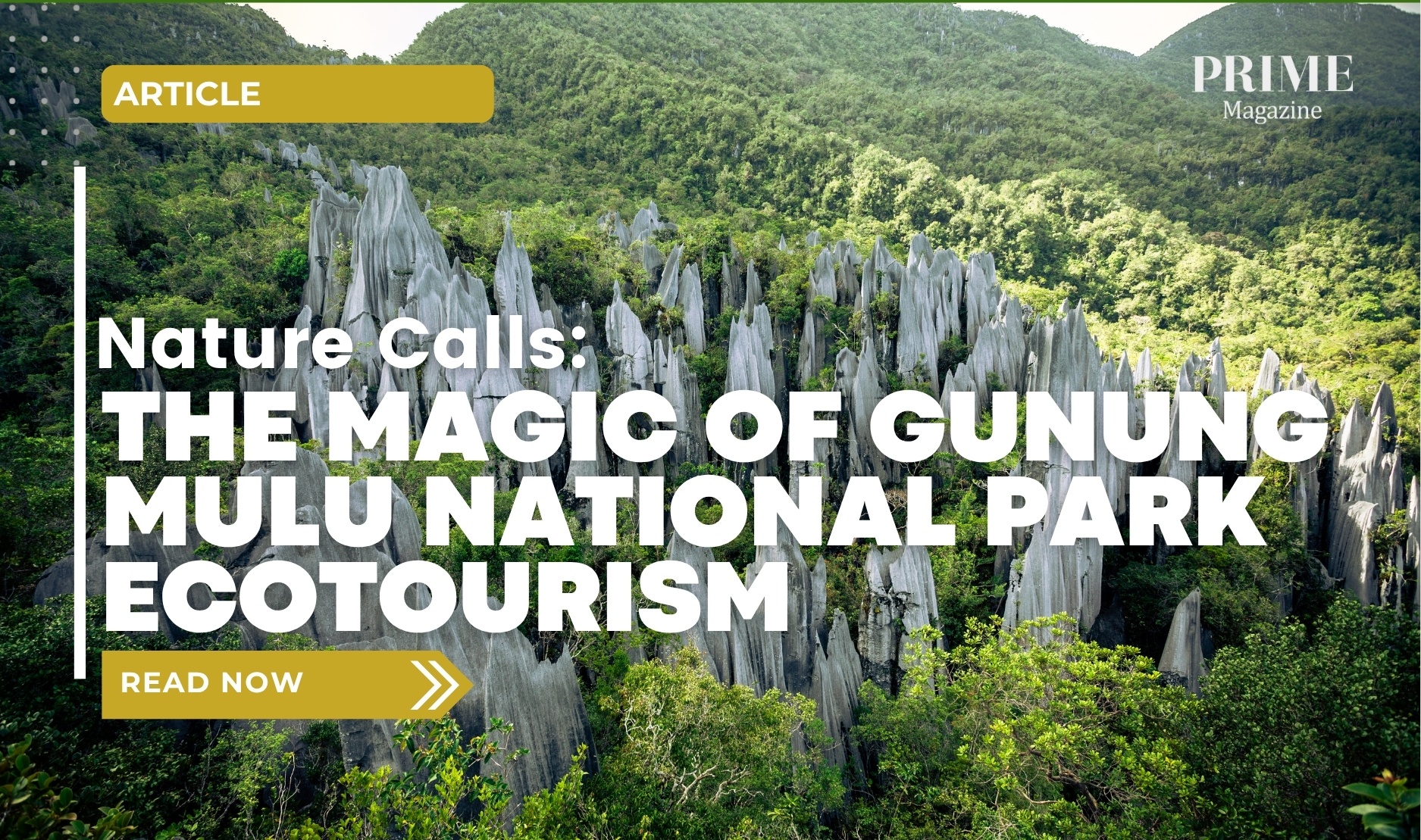 Limestone pinnacles rising above lush rainforest in Gunung Mulu National Park, featured in Prime Magazine’s ecotourism article.
