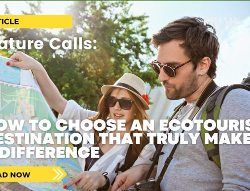 Nature Calls: How to Choose an Ecotourism Destination That Truly Makes a Difference