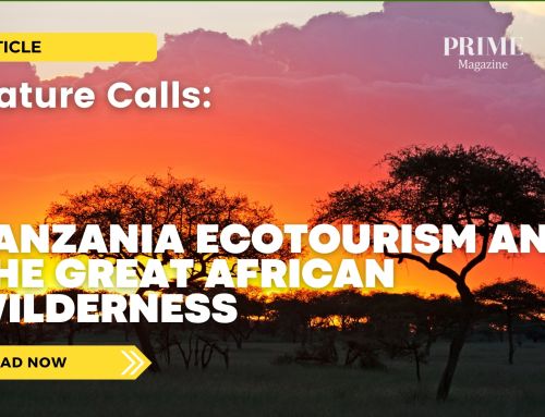 Nature Calls: Tanzania Ecotourism and the Great African Wilderness