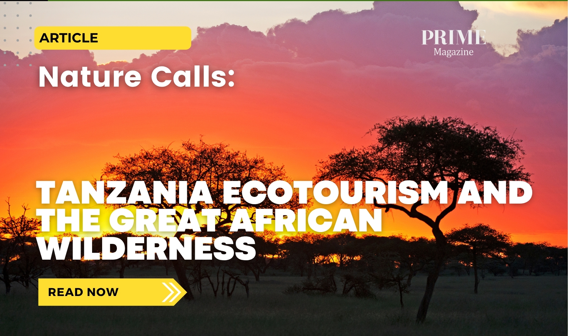 Sunset over the African savannah in Tanzania with acacia trees silhouetted against an orange sky, featuring the headline “Tanzania Ecotourism and the Great African Wilderness.”