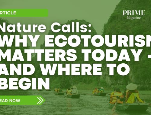 Nature Calls: Why Ecotourism Matters Today — And Where to Begin