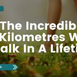 Barefoot person walking on grass with sunlight filtering through trees, representing the distance people walk over a lifetime.