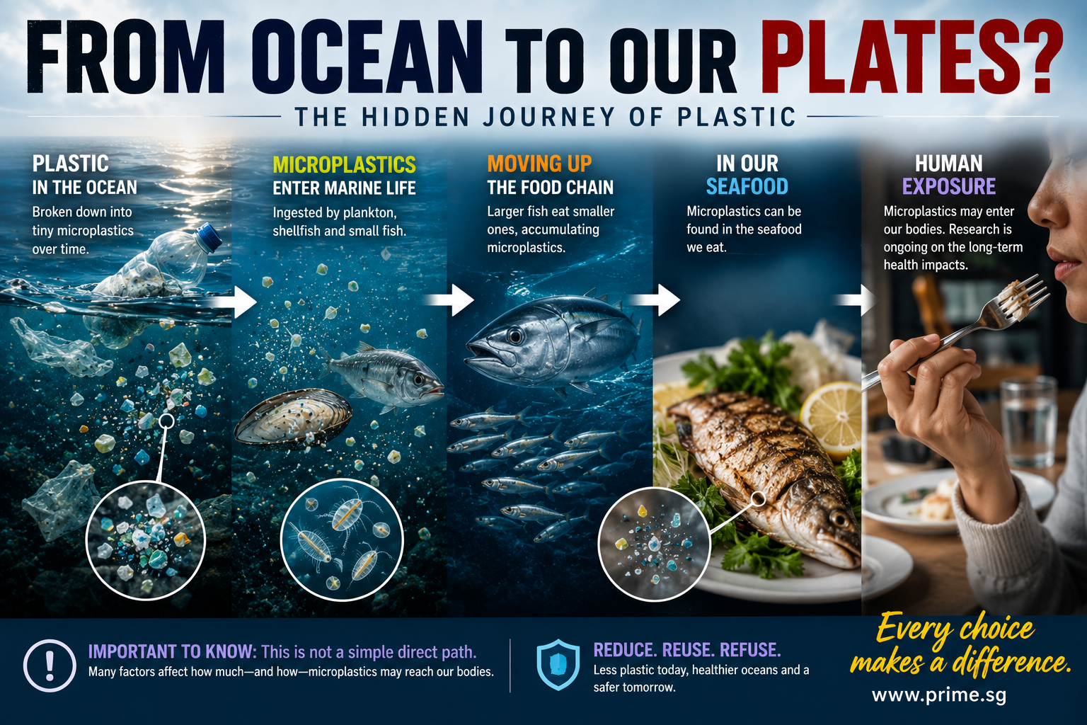Infographic showing how ocean plastic may break into microplastics, enter marine life and food webs, and reach seafood consumed by people.