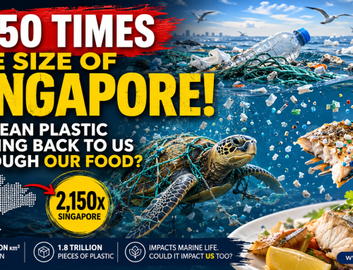 Great Pacific Garbage Patch: Size, Dangers and Food Risks