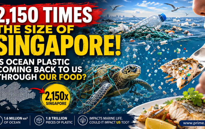 Great Pacific Garbage Patch graphic comparing its estimated area with Singapore and exploring how ocean plastic may affect marine life and seafood.