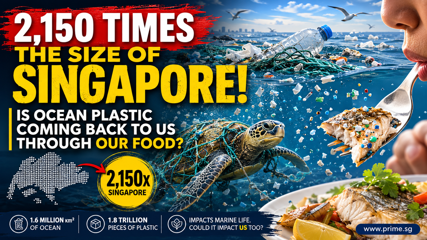 Great Pacific Garbage Patch graphic comparing its estimated area with Singapore and exploring how ocean plastic may affect marine life and seafood.