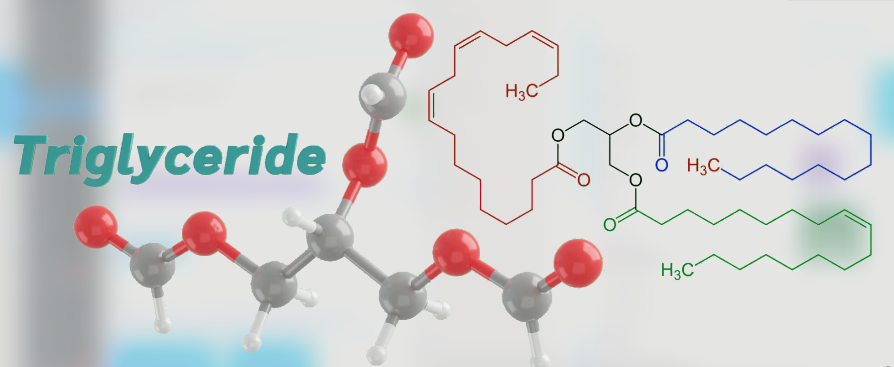 scientific illustration of triglyceride molecule structure linked to cholesterol and heart disease