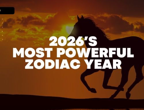 Prime Inforgrapics : Horse Power 2026