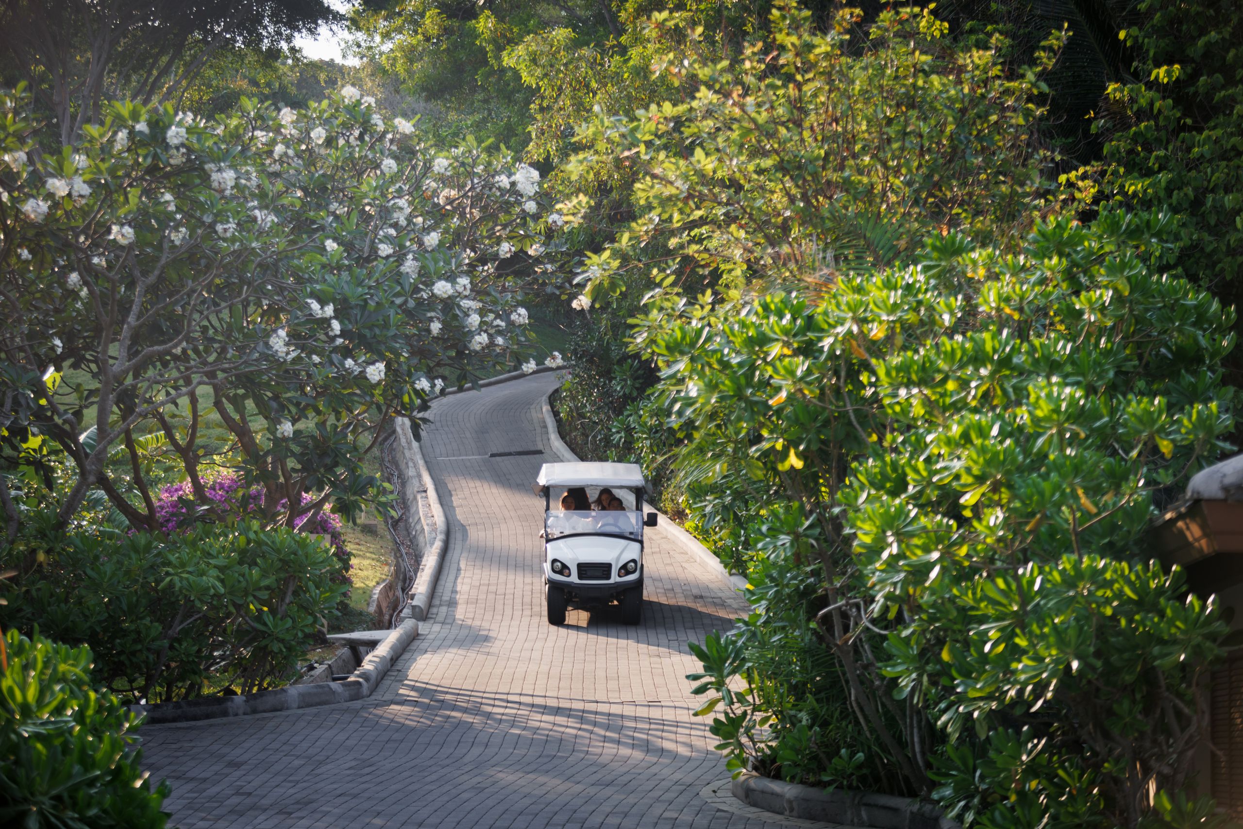 Tropical Resort Pathway at Garrya Tongsai Bay Samui Tropical resort pathway surrounded by lush greenery at Garrya Tongsai Bay Samui