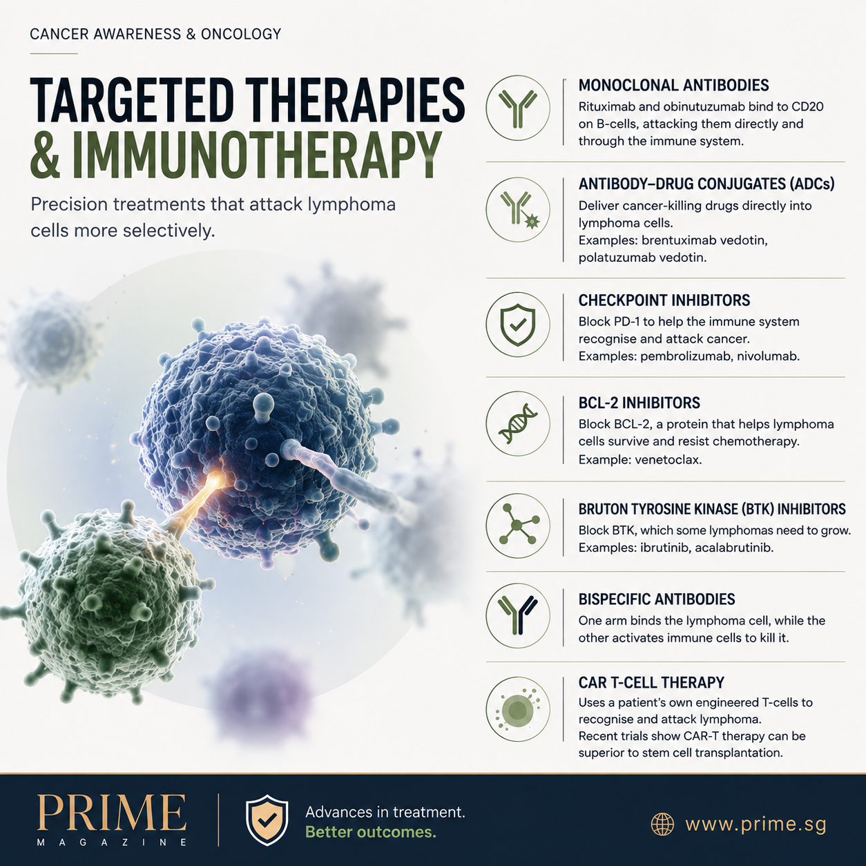 Targeted Therapies and Immunotherapy for Lymphoma Targeted therapies and immunotherapy options used in lymphoma treatment